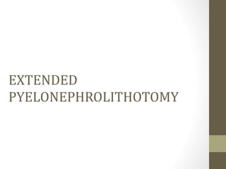 EXTENDED
PYELONEPHROLITHOTOMY
 