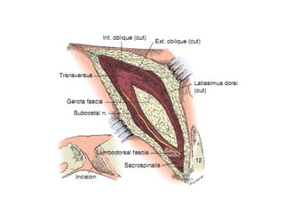 EXTENDED PYELONEPHROLITHOTOMY | PPT