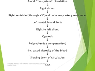 Blood from systemic circulation
↓
Right atrium
↓
Right ventricle ( through VSD)and pulmonary artery resistance
↓
Left ventricle and Aorta
↓
Right to left shunt
↓
Cyanosis
↓
Polycythemia ( compensation)
↓
Increased viscosity of the blood
↓
Slowing down of circulation
↓
CVAJERIN.T.S, 3RD YEAR BSC NURSING, KRSMCON MANGALORE. PH:
+919496743672
 
