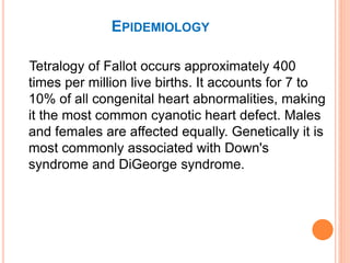 EPIDEMIOLOGY
Tetralogy of Fallot occurs approximately 400
times per million live births. It accounts for 7 to
10% of all congenital heart abnormalities, making
it the most common cyanotic heart defect. Males
and females are affected equally. Genetically it is
most commonly associated with Down's
syndrome and DiGeorge syndrome.
 