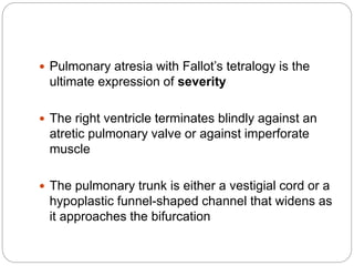  Pulmonary atresia with Fallot’s tetralogy is the
ultimate expression of severity
 The right ventricle terminates blindly against an
atretic pulmonary valve or against imperforate
muscle
 The pulmonary trunk is either a vestigial cord or a
hypoplastic funnel-shaped channel that widens as
it approaches the bifurcation
 