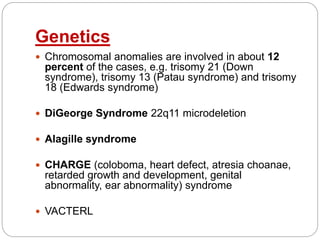 Genetics
 Chromosomal anomalies are involved in about 12
percent of the cases, e.g. trisomy 21 (Down
syndrome), trisomy 13 (Patau syndrome) and trisomy
18 (Edwards syndrome)
 DiGeorge Syndrome 22q11 microdeletion
 Alagille syndrome
 CHARGE (coloboma, heart defect, atresia choanae,
retarded growth and development, genital
abnormality, ear abnormality) syndrome
 VACTERL
 