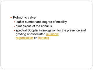  Pulmonic valve
 leaflet number and degree of mobility
 dimensions of the annulus
 spectral Doppler interrogation for the presence and
grading of associated pulmonic
regurgitation or stenosis
 