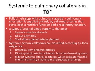 Systemic to pulmonary collaterals in
TOF
• Fallot’s tetralogy with pulmonary atresia - pulmonary
circulation is supplied entirely by collateral arteries that
serve both a nutritive function and a respiratory function.
• 3 types of arterial blood supply to the lungs
1. Systemic arterial collaterals
2. Ductus arteriosus
3. Small diffuse pleural arterial plexuses.
• Systemic arterial collaterals are classified according to their
origins as:
1. Bronchial, from bronchial arteries
2. Direct systemic arterial collaterals, from the descending aorta
3. Indirect systemic arterial collaterals, which originate from the
internal mammary, innominate, and subclavian arteries.
 