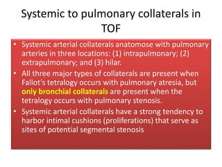 Systemic to pulmonary collaterals in
TOF
• Systemic arterial collaterals anatomose with pulmonary
arteries in three locations: (1) intrapulmonary; (2)
extrapulmonary; and (3) hilar.
• All three major types of collaterals are present when
Fallot’s tetralogy occurs with pulmonary atresia, but
only bronchial collaterals are present when the
tetralogy occurs with pulmonary stenosis.
• Systemic arterial collaterals have a strong tendency to
harbor intimal cushions (proliferations) that serve as
sites of potential segmental stenosis
 