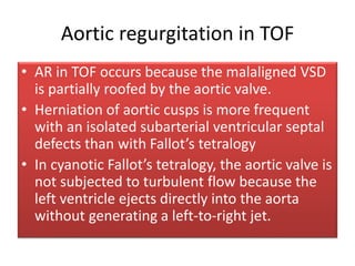 Aortic regurgitation in TOF
• AR in TOF occurs because the malaligned VSD
is partially roofed by the aortic valve.
• Herniation of aortic cusps is more frequent
with an isolated subarterial ventricular septal
defects than with Fallot’s tetralogy
• In cyanotic Fallot’s tetralogy, the aortic valve is
not subjected to turbulent flow because the
left ventricle ejects directly into the aorta
without generating a left-to-right jet.
 