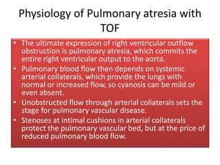 Physiology of Pulmonary atresia with
TOF
• The ultimate expression of right ventricular outflow
obstruction is pulmonary atresia, which commits the
entire right ventricular output to the aorta.
• Pulmonary blood flow then depends on systemic
arterial collaterals, which provide the lungs with
normal or increased flow, so cyanosis can be mild or
even absent.
• Unobstructed flow through arterial collaterals sets the
stage for pulmonary vascular disease.
• Stenoses at intimal cushions in arterial collaterals
protect the pulmonary vascular bed, but at the price of
reduced pulmonary blood flow.
 
