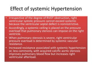 Effect of systemic Hypertension
• Irrespective of the degree of RVOT obstruction, right
ventricular systolic pressure cannot exceed systemic
because the ventricular septal defect is nonrestrictive.
• Accordingly, a systemic ceiling is placed on the pressure
overload that pulmonary stenosis can impose on the right
ventricle.
• When pulmonary stenosis is severe, right ventricular
pressure overload is determined by systemic vascular
resistance.
• Increased resistance associated with systemic hypertension
or, less commonly, with acquired calcific aortic stenosis
improves pulmonary blood flow but increases right
ventricular afterload.
 