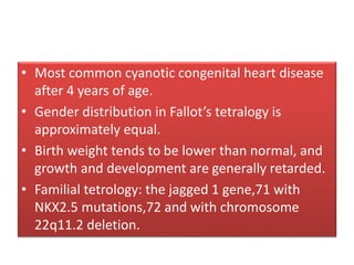• Most common cyanotic congenital heart disease
after 4 years of age.
• Gender distribution in Fallot’s tetralogy is
approximately equal.
• Birth weight tends to be lower than normal, and
growth and development are generally retarded.
• Familial tetrology: the jagged 1 gene,71 with
NKX2.5 mutations,72 and with chromosome
22q11.2 deletion.
 