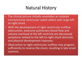 Natural History
• The clinical picture initially resembles an isolated
nonrestrictive ventricular septal defect with large left-
to-right shunt.
• With the development of right ventricular outflow
obstruction, excessive pulmonary blood flow and
volume overload of the left ventricle are decreased,
symptoms related to the left-to-right shunt diminish,
and physical development improves.
• Obstruction to right ventricular outflow may progress
sufficiently to reverse the shunt, resulting in late onset
cyanosis.
 