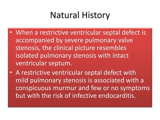 Natural History
• When a restrictive ventricular septal defect is
accompanied by severe pulmonary valve
stenosis, the clinical picture resembles
isolated pulmonary stenosis with intact
ventricular septum.
• A restrictive ventricular septal defect with
mild pulmonary stenosis is associated with a
conspicuous murmur and few or no symptoms
but with the risk of infective endocarditis.
 