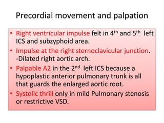 Precordial movement and palpation
• Right ventricular impulse felt in 4th and 5th left
ICS and subzyphoid area.
• Impulse at the right sternoclavicular junction.
-Dilated right aortic arch.
• Palpable A2 in the 2nd left ICS because a
hypoplastic anterior pulmonary trunk is all
that guards the enlarged aortic root.
• Systolic thrill only in mild Pulmonary stenosis
or restrictive VSD.
 