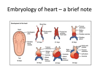 Embryology of heart – a brief note
 