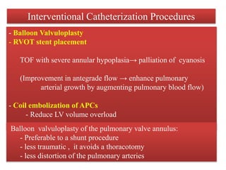 Interventional Catheterization Procedures
- Balloon Valvuloplasty
- RVOT stent placement
TOF with severe annular hypoplasia→ palliation of cyanosis
(Improvement in antegrade flow → enhance pulmonary
arterial growth by augmenting pulmonary blood flow)
- Coil embolization of APCs
- Reduce LV volume overload
Balloon valvuloplasty of the pulmonary valve annulus:
- Preferable to a shunt procedure
- less traumatic , it avoids a thoracotomy
- less distortion of the pulmonary arteries
 