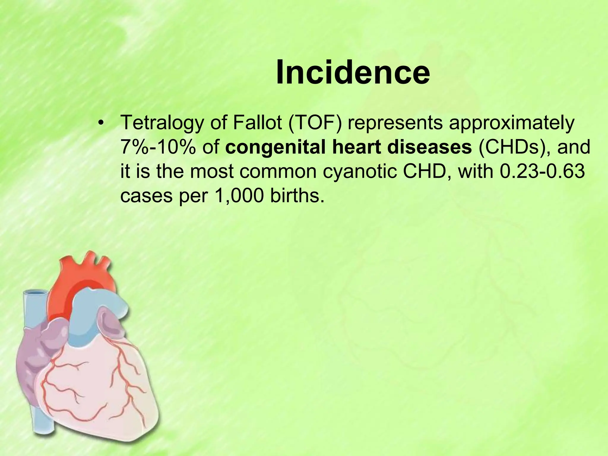 Incidence
• Tetralogy of Fallot (TOF) represents approximately
7%-10% of congenital heart diseases (CHDs), and
it is the most common cyanotic CHD, with 0.23-0.63
cases per 1,000 births.
 