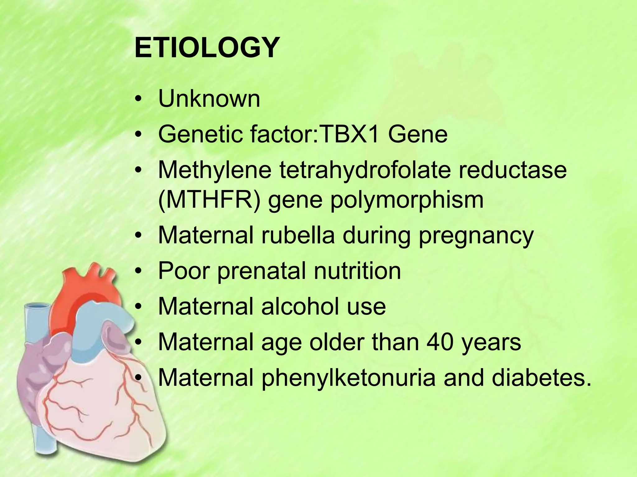 ETIOLOGY
• Unknown
• Genetic factor:TBX1 Gene
• Methylene tetrahydrofolate reductase
(MTHFR) gene polymorphism
• Maternal rubella during pregnancy
• Poor prenatal nutrition
• Maternal alcohol use
• Maternal age older than 40 years
• Maternal phenylketonuria and diabetes.
 