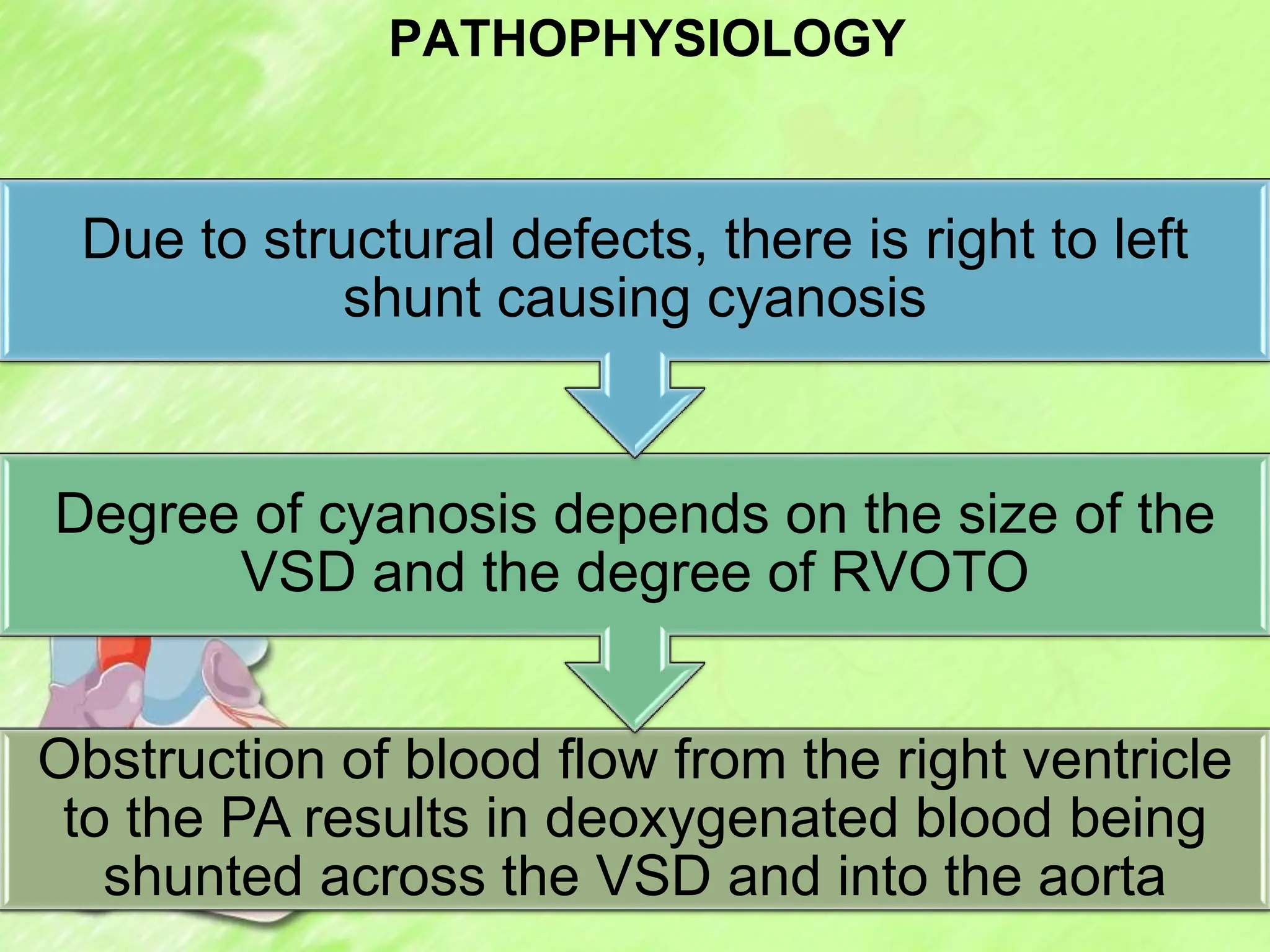 PATHOPHYSIOLOGY
Obstruction of blood flow from the right ventricle
to the PA results in deoxygenated blood being
shunted across the VSD and into the aorta
Degree of cyanosis depends on the size of the
VSD and the degree of RVOTO
Due to structural defects, there is right to left
shunt causing cyanosis
 