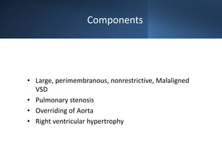 Tetralogy of Fallot.pptx