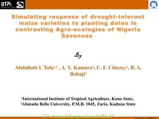www.iita.org I www.cgiar.org
Simulating response of drought-tolerant
maize varieties to planting dates in
contrasting Agro-ecologies of Nigeria
Savannas
By
Abdullahi I. Tofa1,2
, A. Y. Kamara1
, U. F. Chiezey2
, B. A.
Babaji2
1
International Institute of Tropical Agriculture, Kano State,
2
Ahmadu Bello University, P.M.B. 1045, Zaria, Kaduna State
21st
Annual Symposium IARSAF
 