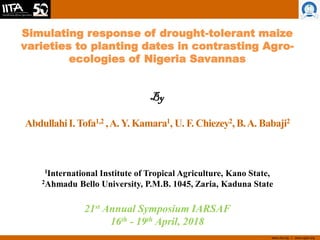 www.iita.org I www.cgiar.org
Simulating response of drought-tolerant maize
varieties to planting dates in contrasting Agro-
ecologies of Nigeria Savannas
By
AbdullahiI.Tofa1,2 ,A.Y. Kamara1, U. F. Chiezey2,B.A. Babaji2
1International Institute of Tropical Agriculture, Kano State,
2Ahmadu Bello University, P.M.B. 1045, Zaria, Kaduna State
21st Annual Symposium IARSAF
16th - 19th April, 2018
 