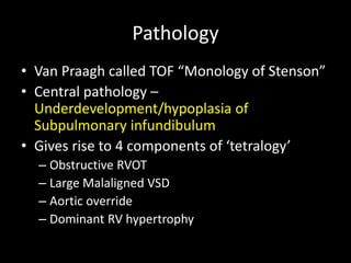 Pathology
• Van Praagh called TOF “Monology of Stenson”
• Central pathology –
Underdevelopment/hypoplasia of
Subpulmonary infundibulum
• Gives rise to 4 components of ‘tetralogy’
– Obstructive RVOT
– Large Malaligned VSD
– Aortic override
– Dominant RV hypertrophy
 