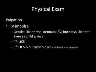 Physical Exam
Palpation
• RV impulse
– Gentle; like normal neonatal RV; but stays like that
even as child grows
– 4th LICS
– 5th LICS & Subxyphoid (if Sub-Infundibular stenosis)
 