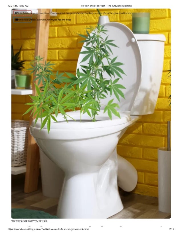 What is Flushing Marijuana Plants?