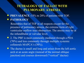 TETRALOGY OF FALLOT WITH
PULMONARY ATRESIA
 PREVALENCE -15% to 20% of patients with TOF.
 PATHOLOGY
Resembles that of TOF in all respects except for the
presence of pulmonary atresia, the extreme form of right
ventricular outflow tract obstruction. The atresia may be at
the infundibular or valvular level.
 2. The PBF is most commonly mediated through a PDA
(70%) and less commonly through multiple systemic
collaterals MAPCA’s (30%).
 The ductus is small and long and arises from the left aortic
arch at an acute angle (instead of the normal oblique
junction) and courses downward (“vertical” ductus)
 