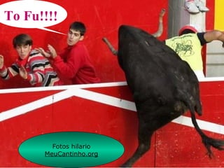 To Fu!!!!
Fotos hilario
MeuCantinho.org
 