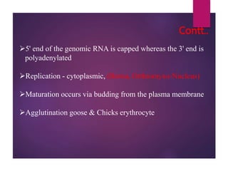 Contt..
5' end of the genomic RNA is capped whereas the 3' end is
polyadenylated
Replication - cytoplasmic, (Borna, Orth...
