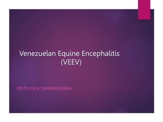 VEE as a Biological Weapon
 50 kg virulent VEE particles
 Aerosolized over city of 5 million people
150,000 people expo...