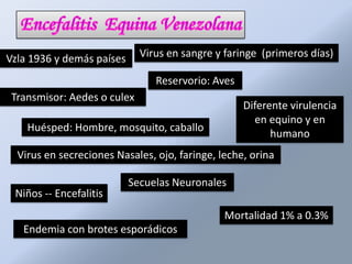 Vzla 1936 y demás países     Virus en sangre y faringe (primeros días)

                                Reservorio: Aves
 Transmisor: Aedes o culex
                                                   Diferente virulencia
                                                     en equino y en
    Huésped: Hombre, mosquito, caballo
                                                         humano
  Virus en secreciones Nasales, ojo, faringe, leche, orina

                           Secuelas Neuronales
 Niños -- Encefalitis
                                               Mortalidad 1% a 0.3%
   Endemia con brotes esporádicos
 