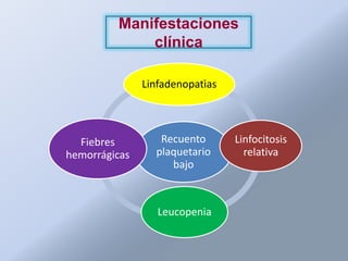 Manifestaciones
             clínica

               Linfadenopatìas



  Fiebres         Recuento       Linfocitosis
hemorrágicas     plaquetario       relativa
                    bajo



                  Leucopenia
 