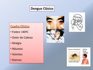 Dengue Clásico




• Fiebre >40ºC
• Dolor de Cabeza
• Mialgia
• Náuseas
• Vómitos
• Diarrea
 