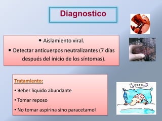 Diagnostico


             Aislamiento viral.
 Detectar anticuerpos neutralizantes (7 días
     después del inicio de los síntomas).




  • Beber liquido abundante
  • Tomar reposo
  • No tomar aspirina sino paracetamol
 