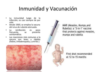 • La inmunidad luego de la
infección, es casi siempre de por
vida.
• Desde 1969, se emplea la vacuna
del virus de rubeola atenuada.
• La reinfección
frecuente, se
es poco
presenta
asintomática.
• Las reacciones más comunes a la
vacuna son leves y rápidas
(fiebre, linfadenopatía, y artritis )
Inmunidad y Vacunación
 