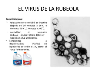 EL VIRUS DE LA RUBEOLA
Características:
• Relativamente termolábil; se inactiva
después de 30 minutos a 56°C, 4
minutos a 70°C , 2 minutos a 100°C.
• Inactividad
lipídicos,
en solventes
ácidos y álcalis débiles y
exposición a luz ultravioleta.
• Sensibilidad a
desinfectantes, inactivo en
hipoclorito de sodio al 1%, etanol al
70% y formaldehído.
 