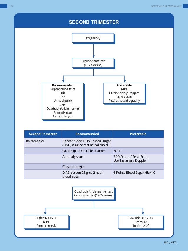 what is the purpose of antenatal screening