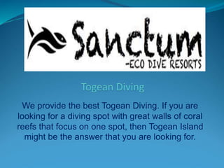 We provide the best Togean Diving. If you are
looking for a diving spot with great walls of coral
reefs that focus on one spot, then Togean Island
might be the answer that you are looking for.
 