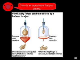Diaphragm Experiment Here is an experiment that you can try. JH 