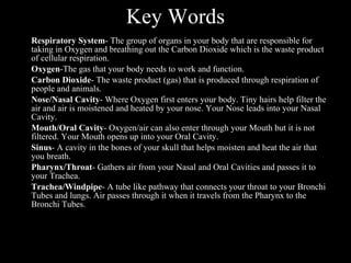 Key Words Respiratory System - The group of organs in your body that are responsible for taking in Oxygen and breathing out the Carbon Dioxide which is the waste product of cellular respiration. Oxygen -The gas that your body needs to work and function. Carbon Dioxide - The waste product (gas) that is produced through respiration of people and animals. Nose/Nasal Cavity - Where Oxygen first enters your body. Tiny hairs help filter the air and air is moistened and heated by your nose. Your Nose leads into your Nasal Cavity. Mouth/Oral Cavity - Oxygen/air can also enter through your Mouth but it is not filtered. Your Mouth opens up into your Oral Cavity. Sinus - A cavity in the bones of your skull that helps moisten and heat the air that you breath. Pharynx/Throat - Gathers air from your Nasal and Oral Cavities and passes it to your Trachea. Trachea/Windpipe - A tube like pathway that connects your throat to your Bronchi Tubes and lungs. Air passes through it when it travels from the Pharynx to the Bronchi Tubes. 