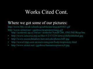 Works Cited Cont. Where we got some of our pictures: 	 http://www.bbc.co.uk/schools/gcsebitesize/img/pe01021.gif 	 http://www.sirinet.net/~jgjohnso/respiratorylungs.gif http://academic.pg.cc.md.us/~aimholtz/AandP/206_ONLINE/Resp/Images/respstructures.jpg http://www. cancersa .org.au/files/1/2/17/226/ airwaysfullylabelled .jpg http://www. researchmatters . harvard .edu/photos/645.jpg http://www4.tpgi.com.au/users/amcgann/body/respiratory.html http://www.sirinet.net/~jgjohnso/humanrespiratory8.jpg 