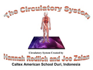 Title Page The Circulatory System Hannah Redlich and Joe Zalan  Caltex American School Duri, Indonesia Circulatory System Created by 