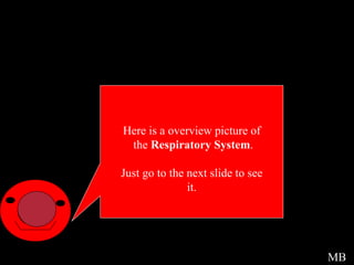 Picture Intro Here is a overview picture of the  Respiratory System . Just go to the next slide to see it. MB 