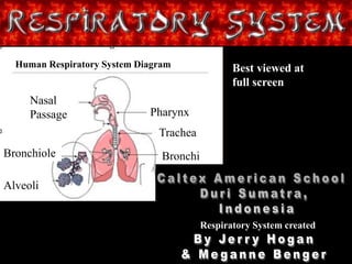 Title Page
Nasal
Passage
Bronchiole
Alveoli
Pharynx
Trachea
Bronchi
Human Respiratory System Diagram Best viewed at
full screen
Respiratory System created
 