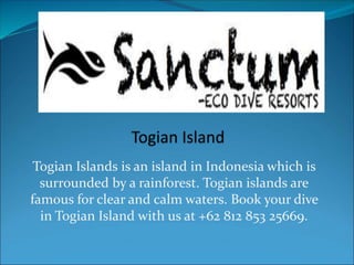 Togian Islands is an island in Indonesia which is
surrounded by a rainforest. Togian islands are
famous for clear and calm waters. Book your dive
in Togian Island with us at +62 812 853 25669.
 