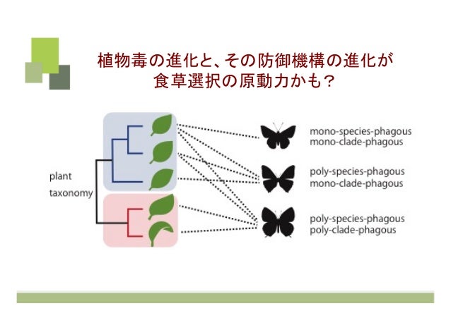 Knapsackデータベースを用いた昆虫 植物間化学的相互作用解析