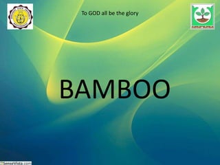 To GOD all be the glory
BAMBOO
 