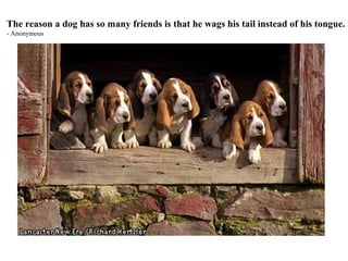 The reason a dog has so many friends is that he wags his tail instead of his tongue.
- Anonymous
 