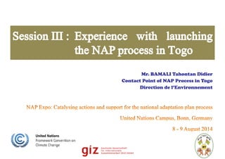 Mr. BAMALI Tahontan Didier
Contact Point of NAP Process in Togo
Direction de l’Environnement
 